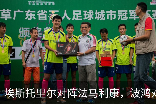 埃斯托里尔对阵法马利康，波鸿对阵柏林赫塔，坎布尔对阵SBV精英，葡超德乙荷甲的足球联赛分析